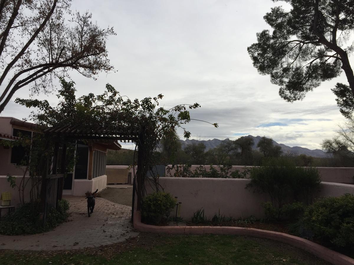 Casa Paloma B&B Tubac Exterior foto